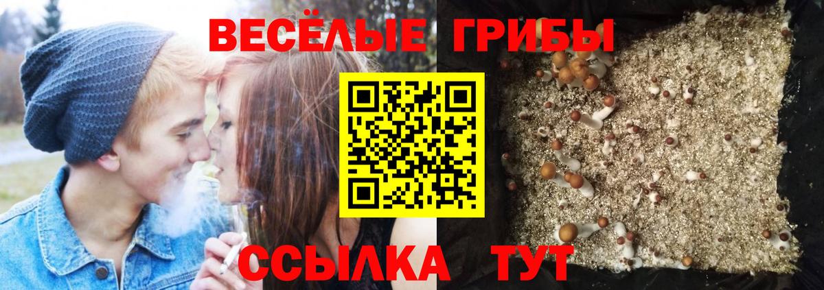 Псилоцибиновые грибы MAGIC MUSHROOMS Амурск