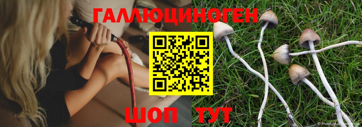 Галлюциногенные грибы Psilocybine cubensis  Вход с VPN  Галлюциногенные грибы ЛСД  Амурск 